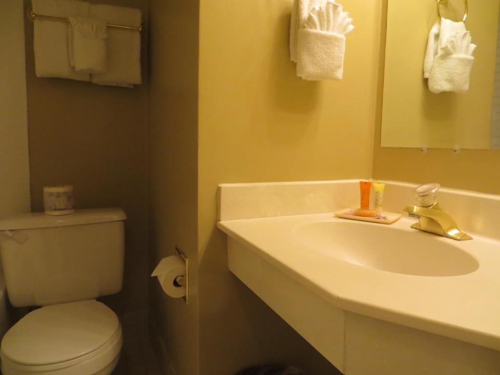 Hotel Athabasca Jasper